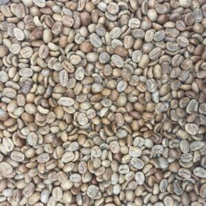 Alternative view of Honduras Organic 18 Rabbit Red Marcala Honduras: Organic 18 Rabbit Red, Marcala