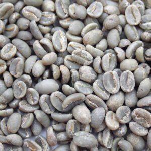 Alternative view of Ethiopia Organic Abol G2 FTO Yirgacheffe Ethiopia: Organic Abol G2 FTO, Yirgacheffe