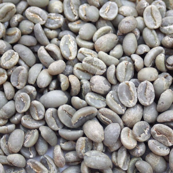 Ethiopia Organic Abol G2 FTO Yirgacheffe Ethiopia: Organic Abol G2 FTO, Yirgacheffe - Image 2