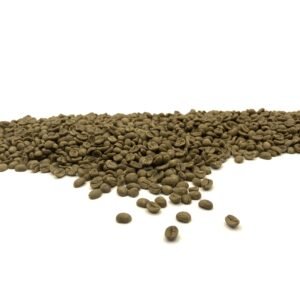 Alternative view of Costa Rica: Decaf El Indio SWP