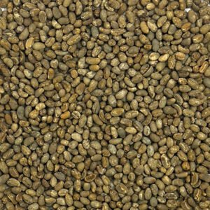 Alternative view of Sumatra Raja Batak Peaberry Lintong Sumatra: Raja Batak Peaberry, Lintong