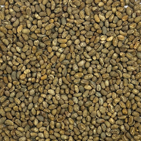 Sumatra Raja Batak Peaberry Lintong Sumatra: Raja Batak Peaberry, Lintong - Image 2
