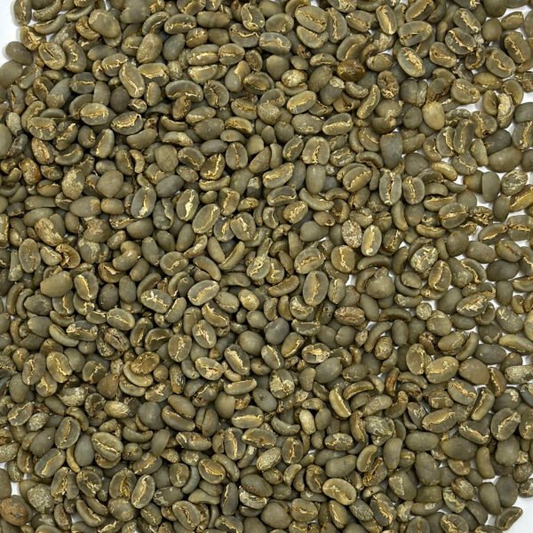 Sumatra Mutu Batak Lintong Sumatra: Mutu Batak, Lintong