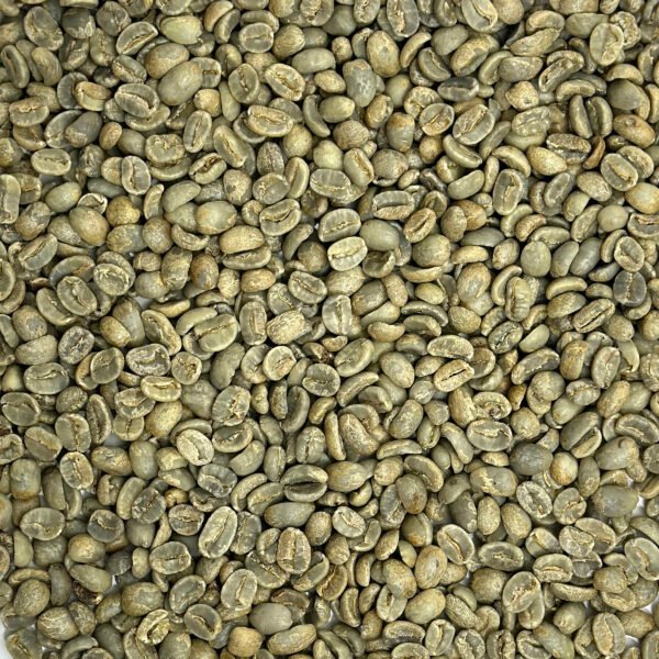 Honduras Kingdom Growers SHG Montecillos Honduras: Kingdom Growers SHG, Montecillos