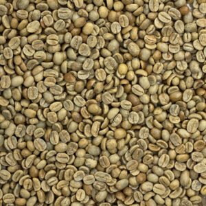 Alternative view of Honduras Organic 18 Rabbit Yellow Marcala Honduras: Organic 18 Rabbit Yellow, Marcala