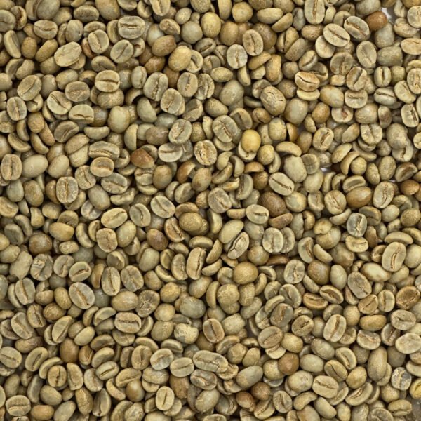 Honduras Organic 18 Rabbit Yellow Marcala Honduras: Organic 18 Rabbit Yellow, Marcala