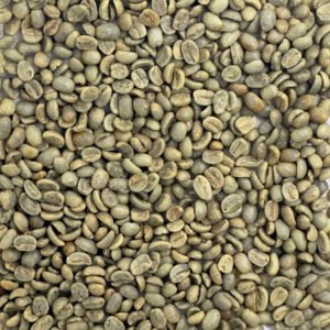Alternative view of Honduras Organic 18 Rabbit Washed Marcala Honduras: Organic 18 Rabbit Washed, Marcala