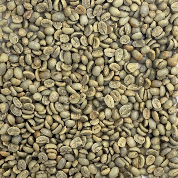 Honduras Organic 18 Rabbit Washed Marcala Honduras: Organic 18 Rabbit Washed, Marcala - Image 2