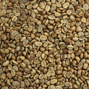 Alternative view of Honduras Organic 18 Rabbit Black Marcala Honduras: Organic 18 Rabbit Black, Marcala