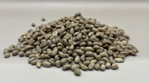 Jamaica Blue Mountain Peaberry Portland Parish Jamaica: Blue Mountain Peaberry, Portland Parish