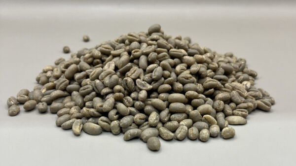 Jamaica Blue Mountain Peaberry Portland Parish Jamaica: Blue Mountain Peaberry, Portland Parish